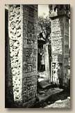 Sanchi Pillars